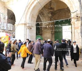 عشرات المستوطنين يقتحمون المسجد الأقصى من باب المغاربة (5)