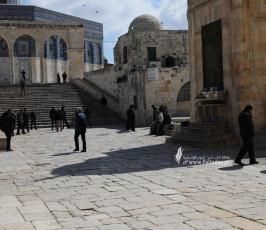 عشرات المستوطنين يقتحمون المسجد الأقصى من باب المغاربة (7)