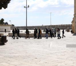 عشرات المستوطنين يقتحمون المسجد الأقصى من باب المغاربة (1)