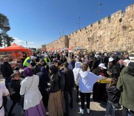 معسكر القدس أولًا 13 (3)