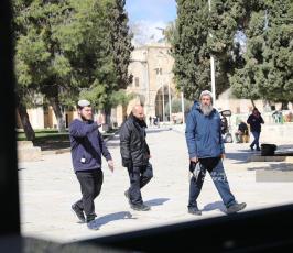 عشرات المستوطنين يقتحمون المسجد الأقصى من باب المغاربة (8)