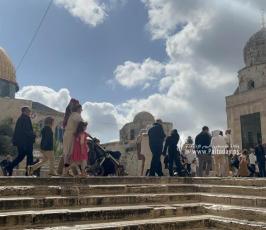  مستوطنا يقتحمون الأقصى  (3)