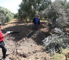 آثار القصف الإسرائيلي على أراضي المواطنين الزراعية وسط قطاع غزة نتيجة الغارات المكثفة التي شهدتها غزة الليلة الماضية (2)