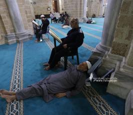 جلسات القرآن الكريم من المسجد العمرى الكبير بغزة (11)