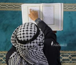 جلسات القرآن الكريم من المسجد العمرى الكبير بغزة (8)