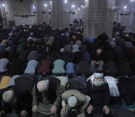 ‏‏صلاة والتراويح من المسجد العمري الكبير بغزة  (4)
