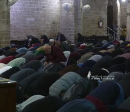 ‏‏صلاة والتراويح من المسجد العمري الكبير بغزة  (21)
