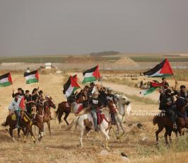 حتما عائدون (17)