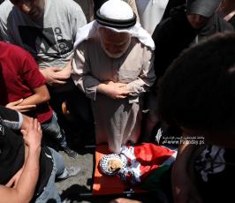 WafaImage (11)