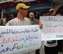 نقابة العمال تصاريح العمال لموظفي السلطة (14)