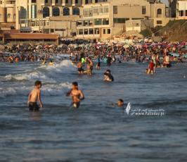 بحر غزة (15)