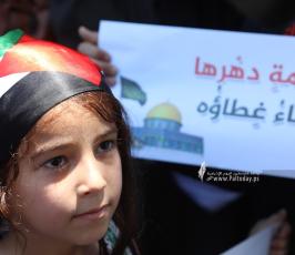 العمل النسائى (11)