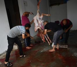 ذبح الأضاحي (26)