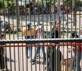 غزة تقاوم درجات الحرارة العالية إثر موجة الحر الشديدة التى تضرب فلسطين والمنطقة (21)