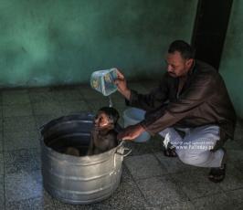 الحرارة والزينقو (7)