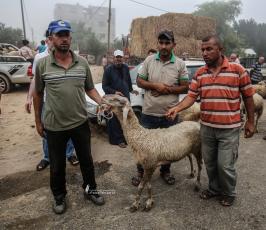 سوق الحلال (7)