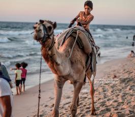 بائعين البحر (8)