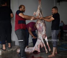 ذبح الأضاحي (12)