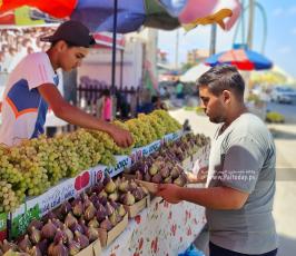 مُفترق الشيخ عجلين.. بازار الفاكهة الموسمية في غزة (5)
