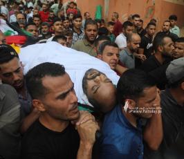 الشهيد ابراهيم شحدة أبو صلاح  شمال القطاع (10)