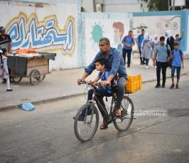 عام جديد (8)