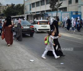 عام جديد (3)
