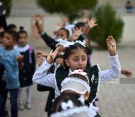 عام جديد (17)