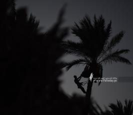 موسم البلج  (8)