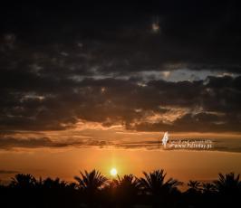 صيد الفر (21)