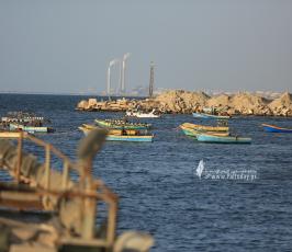  فصائل العمل الوطني والإسلامي تنظم فعالية شعبية رفضا للحصار وسرقة الثروات الطبيعية والغاز (23)