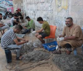 موسم السلطعونات في قطاع غزة (1)