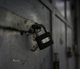 WafaImage (5)