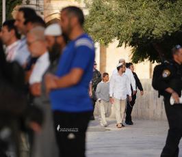  اقتحام ساحات المسجد الأقصى والاعتداء على المرابطين  (3)