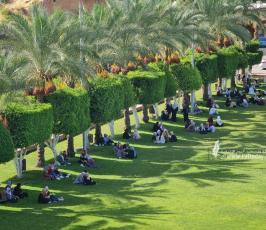 بدء الدوام الجامعي في عدد من جامعات قطاع غزة (9)