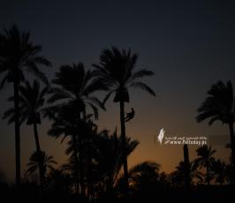 موسم البلج  (6)