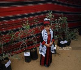 مهرجان الزيت الوطني (38)