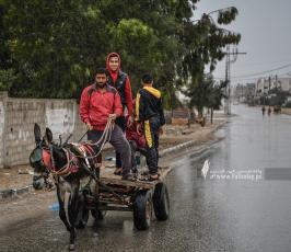 منخفض جوي (4)