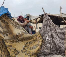 حياة البادية في غزة (16)