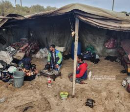 حياة البادية في غزة (5)
