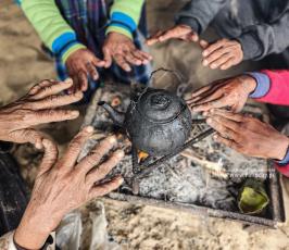 حياة البادية في غزة (7)