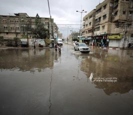 منخفض (1)