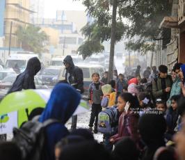 منخفض (3)