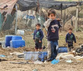 حياة البادية في غزة (15)