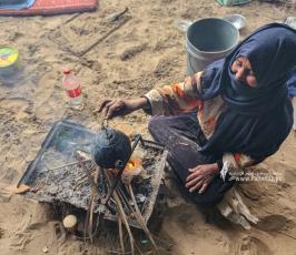 حياة البادية في غزة (4)