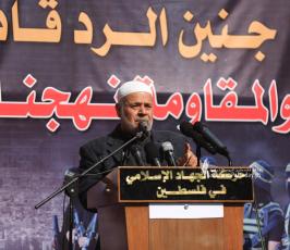 الجهاد الإسلامي  (34)