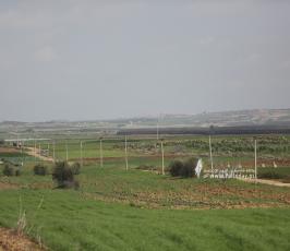 السياج الفاصل شرق غزة (9)