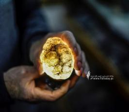 تجميع الحجارة (25)