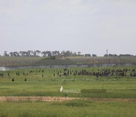مهرجان شرق ملكة (4)