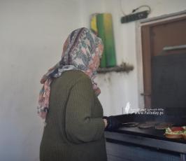 سلطع برجر (1)