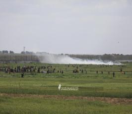 مهرجان شرق ملكة (2)
